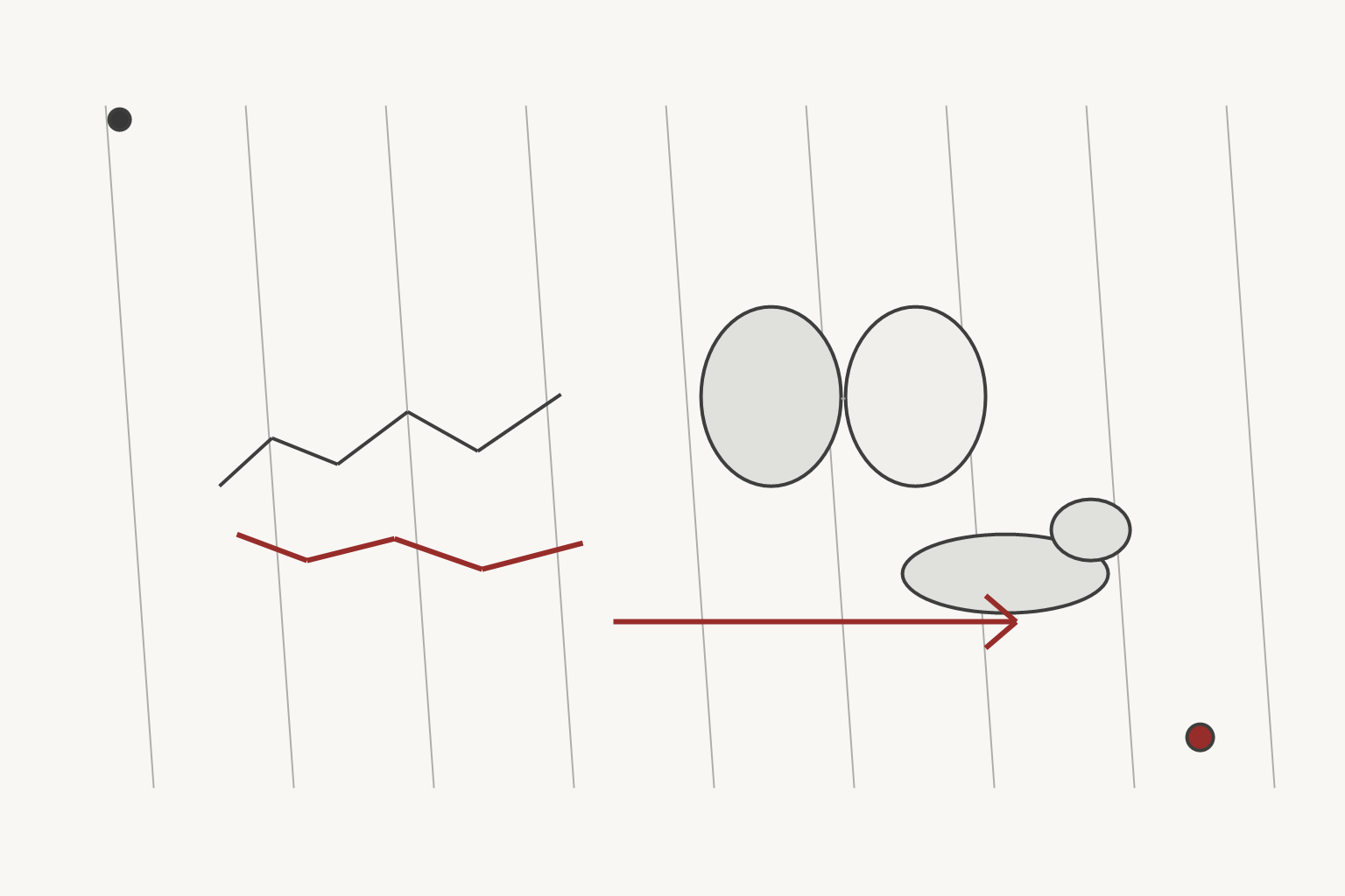 Longevity Next editorial illustration for model organisms in longevity science, using a distinct grayscale scientific motif with muted red validation accents.